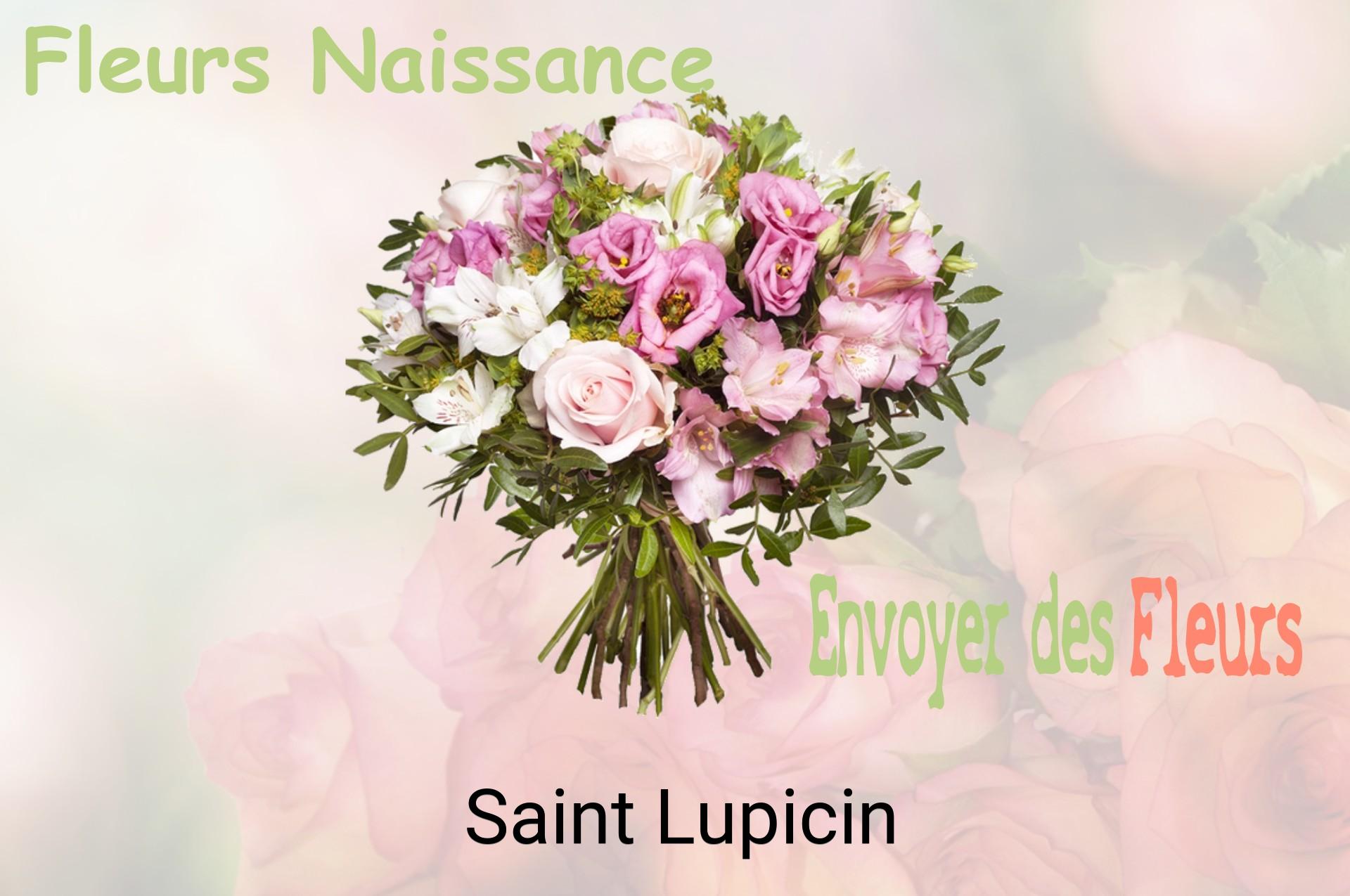 Bouquet de fleurs de naissance livré à Saint-Lupicin
